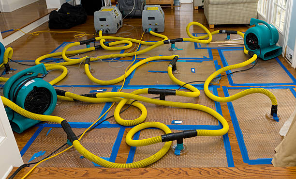 Professional Crawl Space Water Removal technician working in Saint Thomas, MO